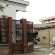 amarilli-300×194