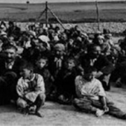 genocidio rom Giornata della Memoria