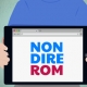 Non dire rom.